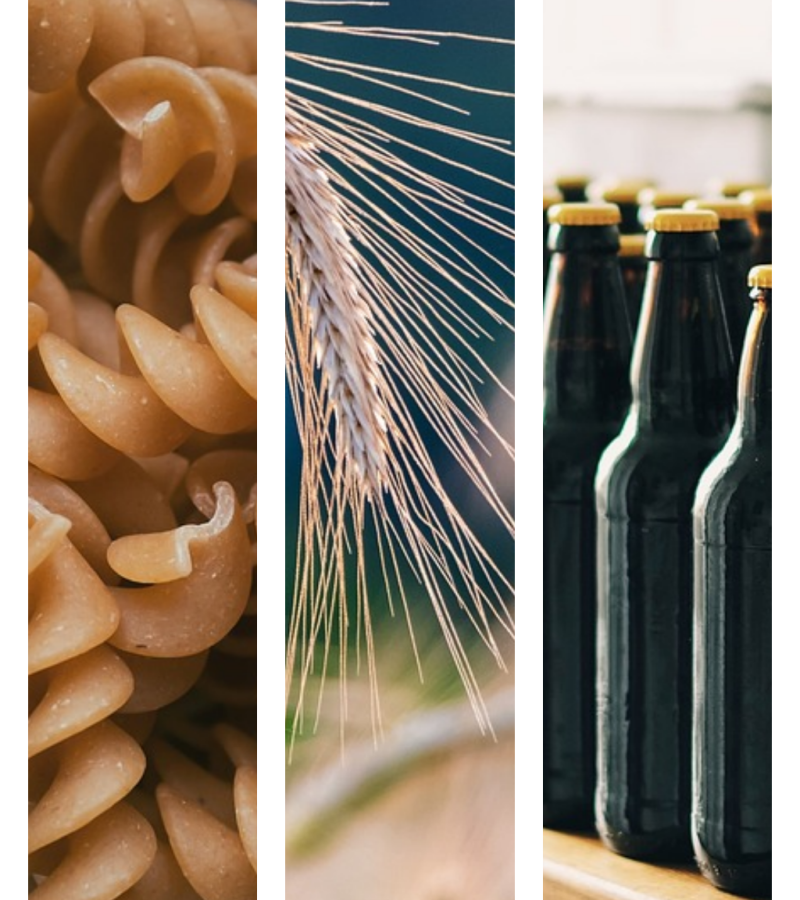 Website-Zero gluten website